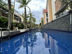 Holland Link (D10), Terrace #503549111